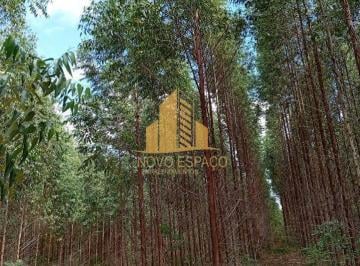 Rural · 3900000m² · Rurais à venda - em Grão Mogol