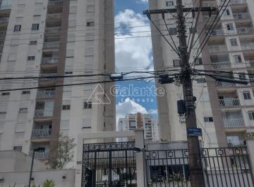 0 · apartamento para aluguel em Taquaral