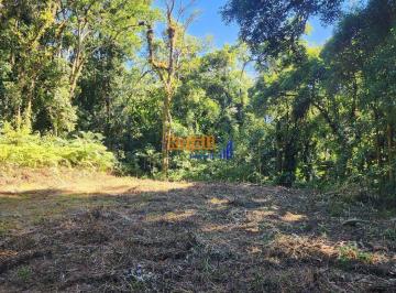 lh8nei2otdiyzkwyjzlytq3_md · Sitio das arvores do riacho em Aguas Mornas - SC 3 hectares natureza  e paz