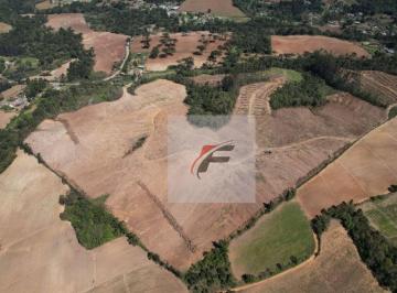 fb71f9e061fbe988a0ce8ddc8e8555ef4f2a27f0 · Fazenda à venda, 1016400 m² por R$ 6.500.000,00 - Rural - São João do Triunfo/PR