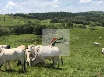 c75bd2123968e5477d99c64b2661cc0953828398 · Fazenda à venda, 40 alqueires por R$ 6.000.000 - Centro - Irati/PR