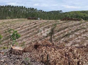 20c73d279090926f859e178c2c1e65d69ca10b56 · Fazenda à venda, 2231800 m² por R$ 6.100.000,00 - Pinheiro dos Cravos - Guapiara/SP