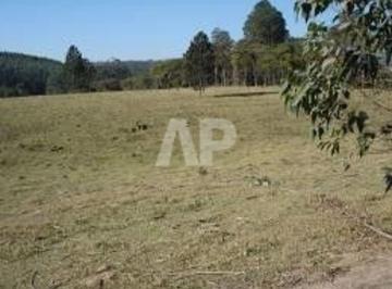 96eb5c8ea4f06bdec230577541e7bb792655b01c · Fazenda com 2 dormitórios à venda, 454352 m² por R$ 7.500.000,00 - Pinheirinho - Itu/SP