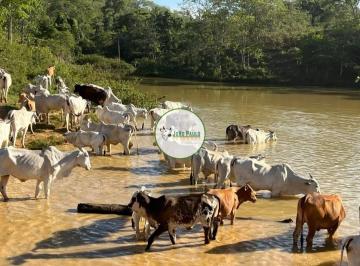 Rural , Planaltina · Fazenda a venda em Planaltina-GO - 141 Hectares - Aptidão ideal para pecuária e agricultura