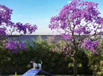 Apartamento de 2 quartos, São José dos Campos · Absolut apartamento de 54m² em São José dos Campos