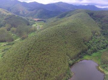 img0 · Fazenda para Venda por R$3.000.000,00 - Pinheirinho, Tremembé / SP - Cód. BDI24610