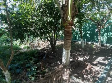 img0 · Sobrado para Venda por R$750.000,00 com 220m², 2 dormitórios, 1 suite e 3 vagas - Burgo paulista, Sã