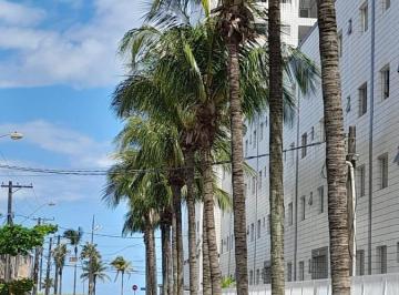 img0 · Apartamento Kitnet para Venda por R$180.000,00 com 32m², 1 dormitório, 1 vaga e 1 banheiro - Vila mi