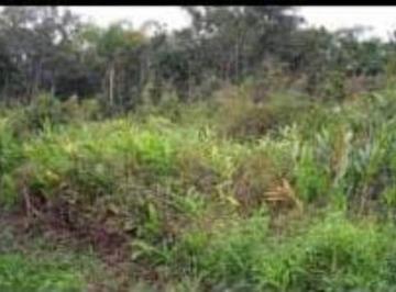img0 · Terreno para Venda por R$50.000,00 com 312m² - Itanhaém, Itanhaém / SP - Cód. BDI55526