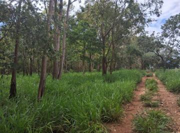 Rural , Jequitibá · Fazendinha 11 há localizada a 10 km de Jequitibá/MG