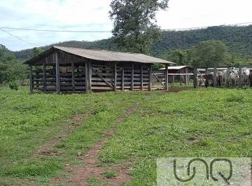 WhatsApp Image 2026-01-29 at 16.50.25 (1).jpeg · UNAÍ - MINAS GERAIS - FAZENDA