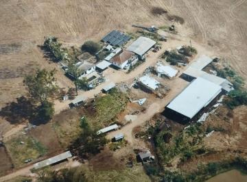 5a843fdf3f6d2aeafa777f7e4e525954.jpeg · Fazenda / Sítios / Chácaras à venda em Borda Da Mata, no bairro Zona Rural