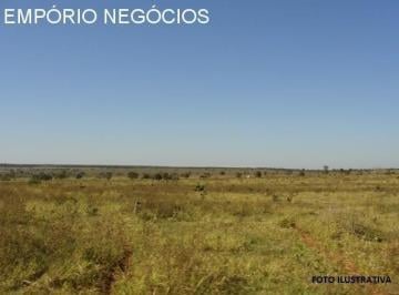 Foto 01 · Sítio venda. Empório Negócios venda sítio para pecuária/lavoura na região de Santo Antônio da Alegri