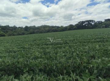 Rural · 21514m² · Rurais à venda - em Palmital