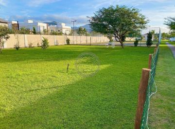 3873_i27w7RV_3873697cefeca830c.jpg · Imoveis - na Campeche