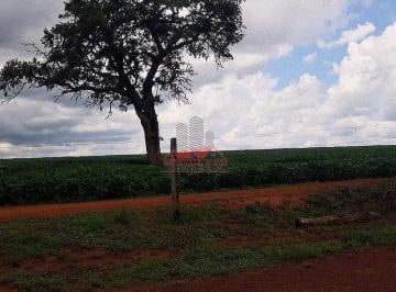 Rural · 11000000m² · Fazenda 1100 ha em Formosa GO | Dupla Aptidão em Bezerra