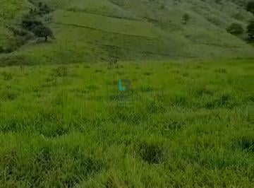 Rural · 1m² · SÍTIO DE FÁCIL ACESSO EM DELFIM MOREIRA-MG