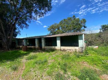 Rural · FAZENDA EM LUZIÂNIA COMPLETA COM MUITO PASTO - ÁGUA EM S PASSANDO NA FAZENDA!
