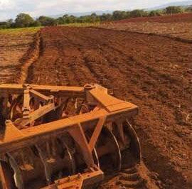 Rural · 210m² · VENDO FAZENDA PARA LAVOURA COM 210 ALQUEIRES- OPORTUNIDADE!!