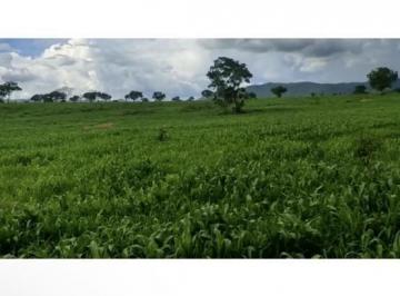 Rural · 160ha · 3 Quartos · 50 Vagas · VENDO LINDA FANDA CAMPINORTE GOIÁS