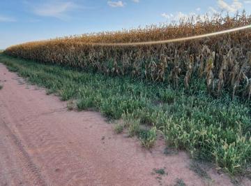 Rural · 214000m² · 4 Quartos · 99 Vagas · VENDO BELÍSSIMA FAZENDA EM URUCUIA MINAS GERAIS-FAZENDA COM 214 HECTARES ESCRIT!