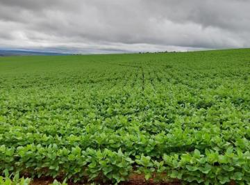 Rural · 135ha · 3 Quartos · 50 Vagas · FAZENDA SENDO EXCELENTE OPORTUNIDADE EM ALTO PARAÍSO DE GOIÁS
