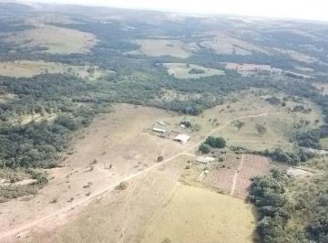 Rural · 210000m² · 4 Quartos · 99 Vagas · VENDO EXCELENTE FAZENDA DENTRO DO DF TODA FORMADA COM ESCRITURA! 98150-8787