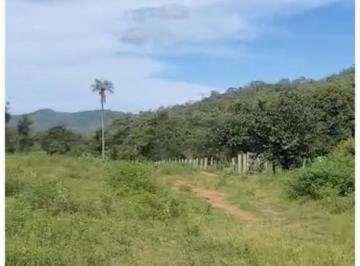 Rural · 70m² · 3 Quartos · 99 Vagas · VENDO FAZENDA DOC 100%PARA CRICAO DE GADO E PECUÁRIA- AC IMOVEL E CARRO NA NEG!