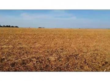 Rural · 135m² · 4 Quartos · 1 Vaga · VENDO BELÍSSIMA FAZENDA EM PONTE ALTA DO TOCANTINS COM 135 ALQUERES-LAVOURA/GADO