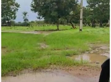 Rural · 427ha · 7 Vagas · FAZENDA JÁ IRRIGADA EM CRISTALINA (GO) COM 427 HECTARES 98150-8787