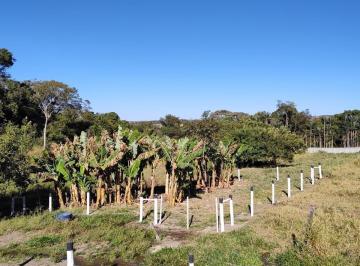 Terreno · 6000m² · 3 Quartos · 90 Vagas · VENDO LINDA CHÁCARA DE 06 HECTARES PRÓXIMO NA PONTE ALTA DENTRO DO DF AC CARRO!