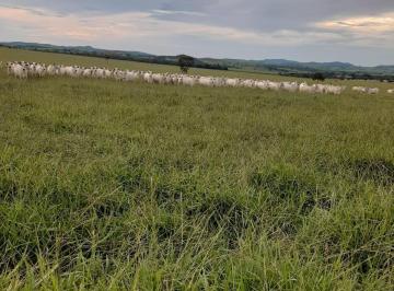 Rural · 430ha · 4 Quartos · 99 Vagas · Fazenda de 430 alqueires goianos ou 2.080 hectares em Itapaci – GO 98150-8787