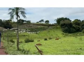 Rural · 28ha · 3 Quartos · 99 Vagas · VENDO FAZENDA ESCRITURADA-COM CASA- EM LUZIANIA AC 50% EM CARRO E IMOVEL!!
