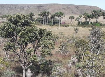 Terreno · 40000m² · LOTE EM ALTO PARAISO DE GOIÁS A 05 KM DE ASFALTO LINDA VOSTA COM 40.000 mil m2!