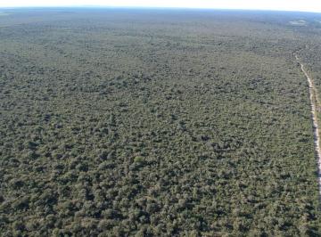 Rural · 960000m² · VENDO TERRENO EM ARINOS MINAS GERAIS-906 HECTARES PODE COLOCAR PIVOR MUITA AGUA!