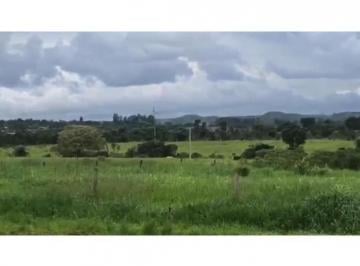 Rural · 500000m² · 2 Quartos · 1 Vaga · VENDO BELÍSSIMA FAZENDA A 50 KM DO DF TODA PLANTADA E CONFINAMENTO DE GADO!