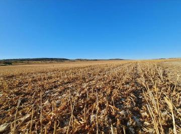 Rural · 337m² · FAZENDA DE 337 HECTARES EM SÃO JOÃO DA ALINÇA EM GOIÁS