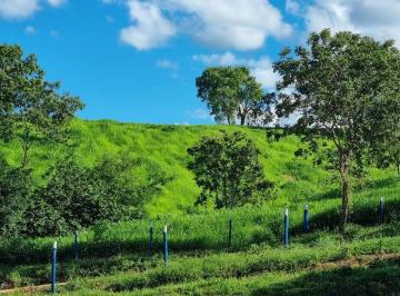Rural · 864000000m² · 4 Quartos · FAZENDA DE 54 ALQUERES TODA FORMADA COM VÁRIAS DIVISÕES E SEDE COMPLETA !!