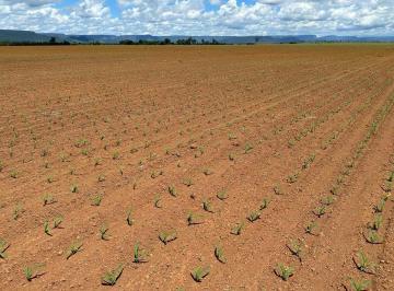 Rural · 199ha · 4 Quartos · VENDO EXCELENTE FAZENDA COM 9.600 HECTARES - OU 199 ALQUEIRES!!