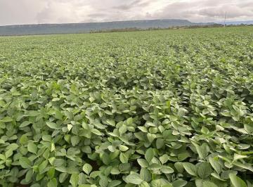 Rural · 199ha · 4 Quartos · 99 Vagas · FAZENDA EM NOVA LACERDA NO MATO GROSSO COM 9.600 HECTARES E 199 AUQUERES!