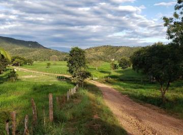Rural · 282ha · 3 Quartos · 50 Vagas · VENDO LINDA FAZENDA NO MUNICÍPIO DE NIQUELÂNDIA TODA FORMADA 98150-8787