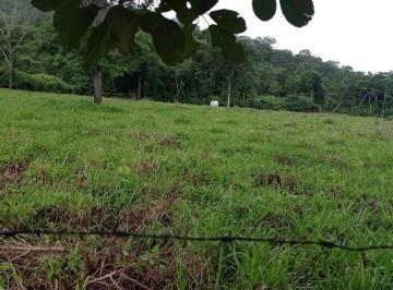 Rural · 65ha · 3 Quartos · 99 Vagas · VENDO BELÍSSIMA FAZENDA EM NIQUELANDIA COM 65 ALQUERES R$ 2.500.000 ac imóvel!