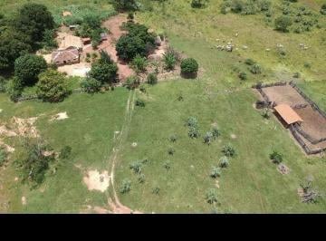 Rural · 521m² · 3 Quartos · 99 Vagas · VENDO FAZENDA EM ARINOS MINAS GERAIS COM 521 HECTARES - ac IMÓVEL 6198150-8787