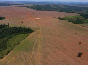 Rural · 22ha · 3 Quartos · VENDO BELÍSSIMA FAZENDA DE 105 HECTARES