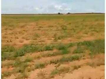 Rural · 2100000m² · 3 Quartos · FAZENDA RANCHO ALEGRE MT-CIDADE FELIZ NATAL COM 2.100 HECTARES ÓTIMA P/ PLANTAR!