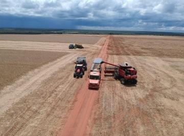 Rural · 1855ha · 4 Quartos · 50 Vagas · FAZENDA PARA PLANTIO EM ARINOS / UNAI PARA PLANTIO COM PIVOR 98150-8787