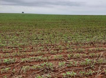 Rural · 6280m² · 4 Quartos · 99 Vagas · FAZENDA EM MONTE ALEGRE DE GOIÁS COM 6.280 HECTARES JÁ PLANTADA -OPORTUNIDADES!!