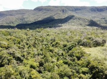 Rural · 7000m² · 2 Quartos · 99 Vagas · VENDO BELÍSSIMA CHACARA COM 7 HEQUITARES DE TERRA PLANA COM POÇO ARTESIANO