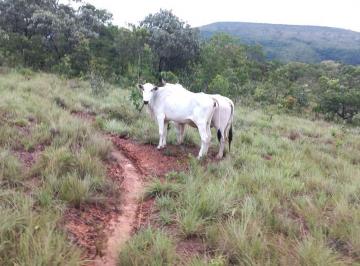 Rural · 140000m² · VENDO FAZENDA DE 140 HECTARES E OUTRA DE 10 HECTARES EM ANINOS MINAS GERAIS!