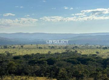 108fe2e98da8e2cb684929f7e77df4cd39fdc521 · Fazenda com 3 dormitórios à venda, 1160 m² por R$ 45.000.000,00 - Paracatu - Paracatu/MG